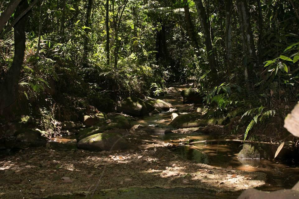 Hotel Fazenda Paraiso Da Serra Congonhas  Ngoại thất bức ảnh